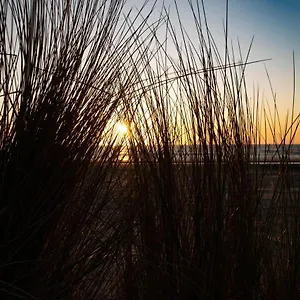 Apartment Vitamin Sea, Zandvoort